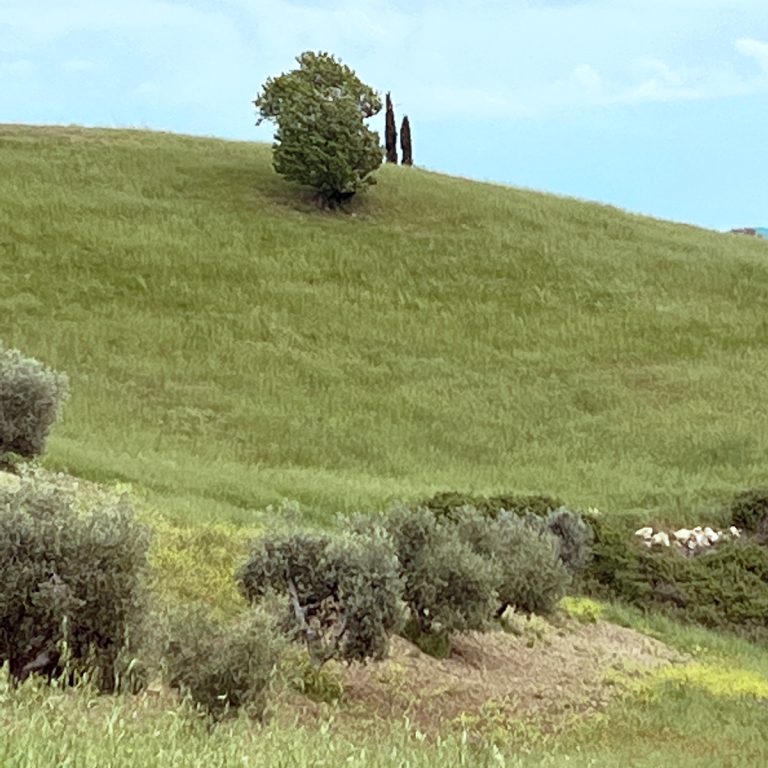 grasslands-italia-yoga-ondata-wellbeing